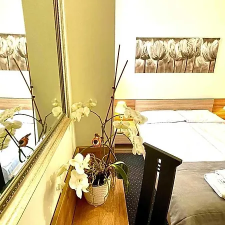 Seven 7 Hotel