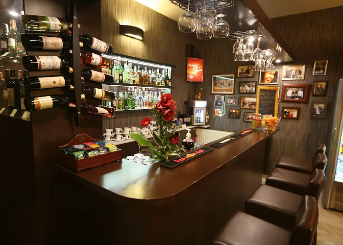 双七酒店 3* Kaliszki